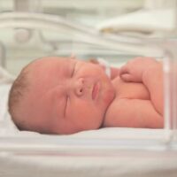 Newborn Newborn
